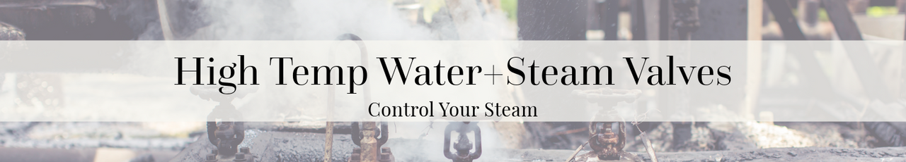 High Temp Water+Steam Valves